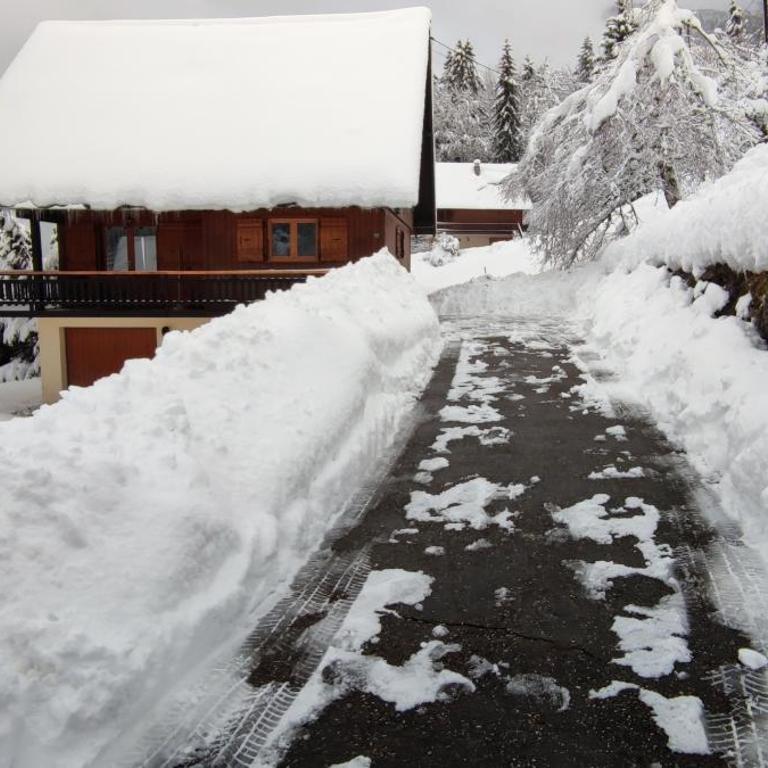 Chalet l'Alpe - Chalet 3 Chambres - 4