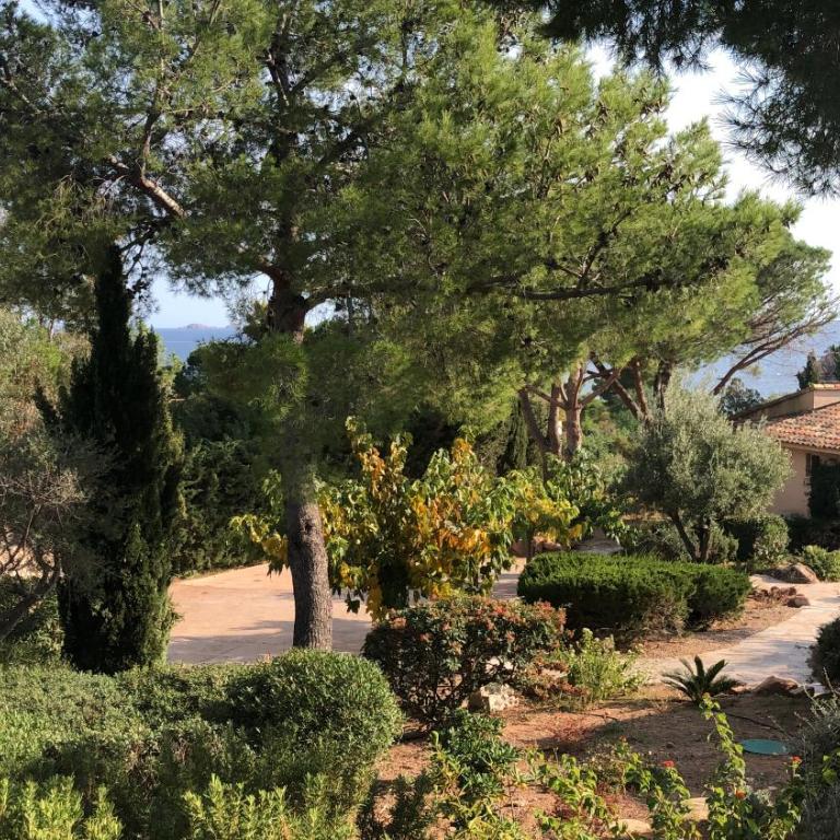 Palombaggia - Two-Bedroom Villa - 19