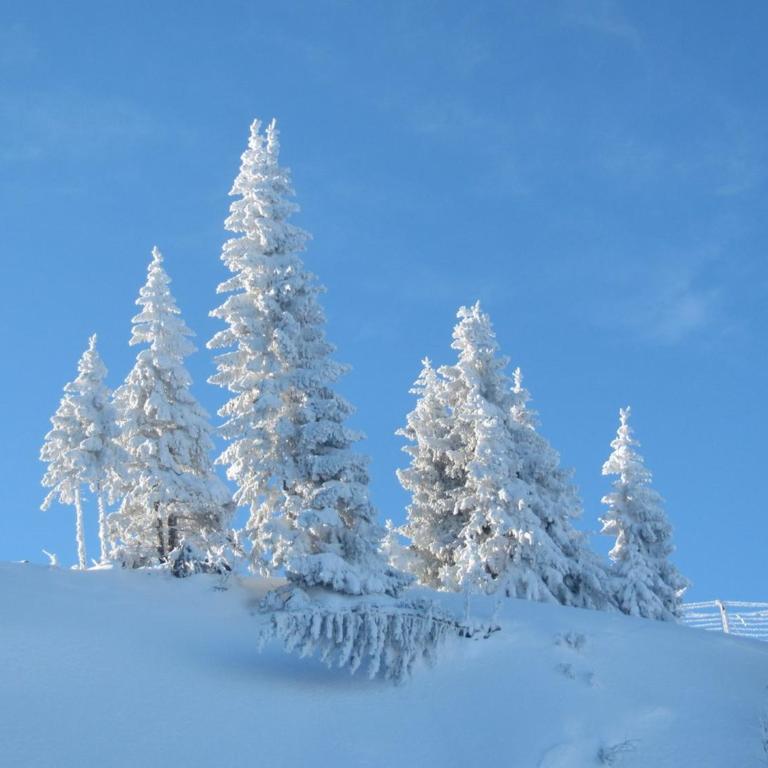Chalet Jahorinka - Two-Bedroom House - 25