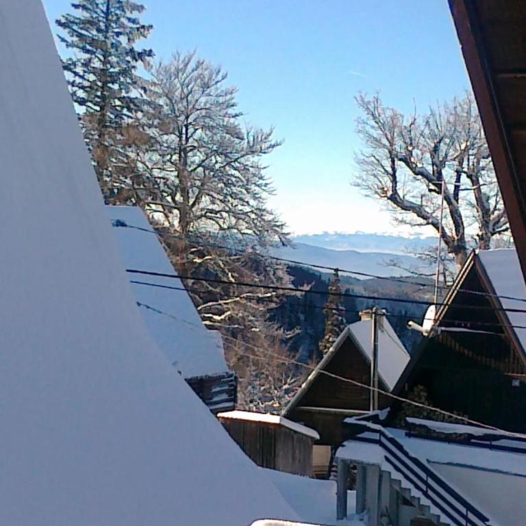 Chalet Jahorinka - Two-Bedroom House - 30