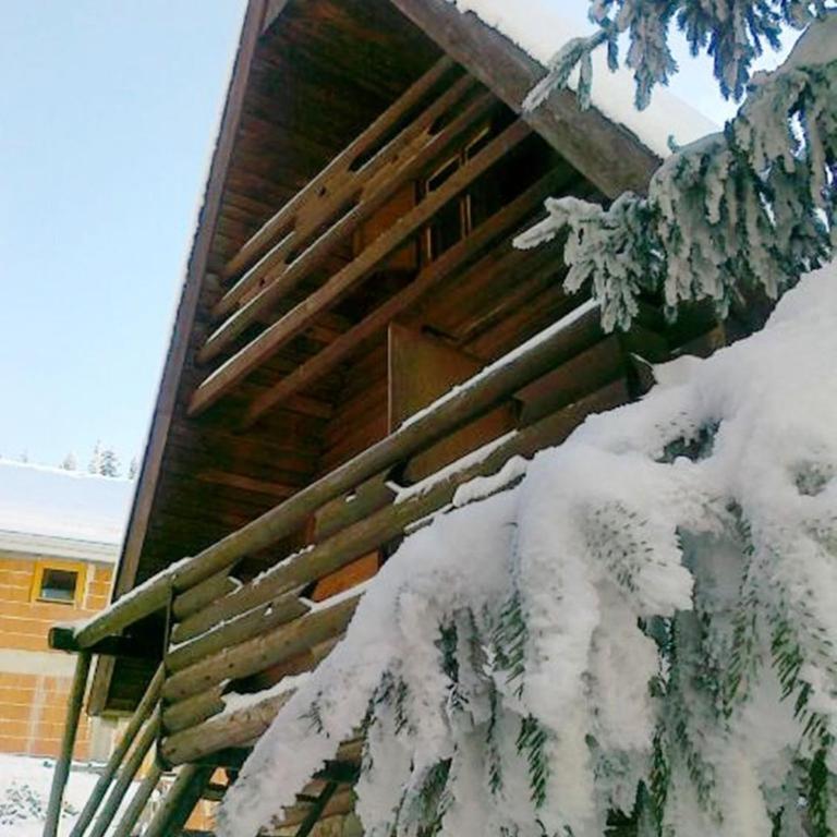Chalet Jahorinka - Two-Bedroom House - 4