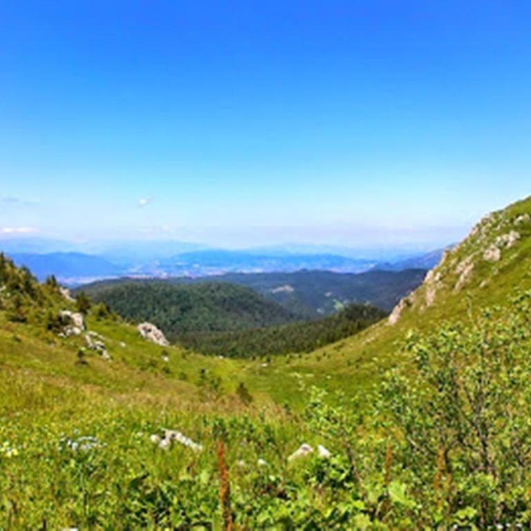 Chalet Jahorinka - Two-Bedroom House - 35