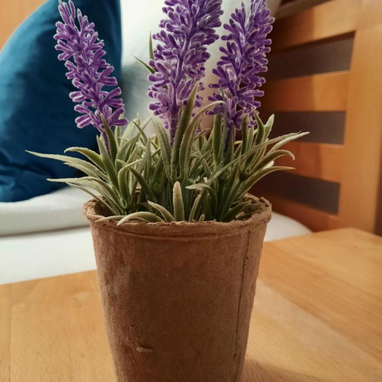 Apartman Kovaci - Apartman sa 2 Spavaće Sobe - 16