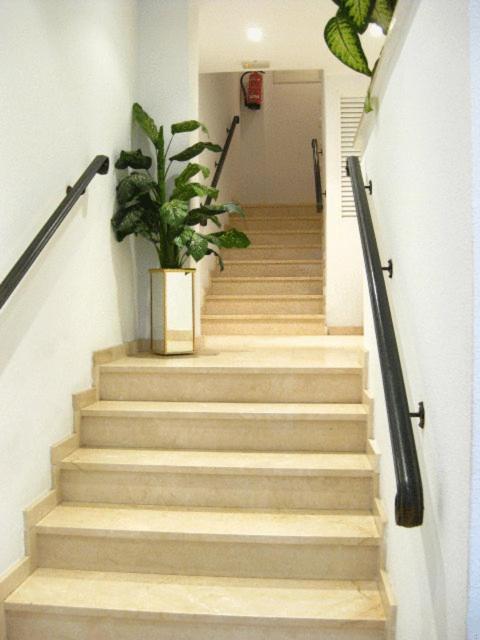 Apartamentos Carolina - Apartamento de 2 dormitorios con vistas a la calle (5 adultos) - 16