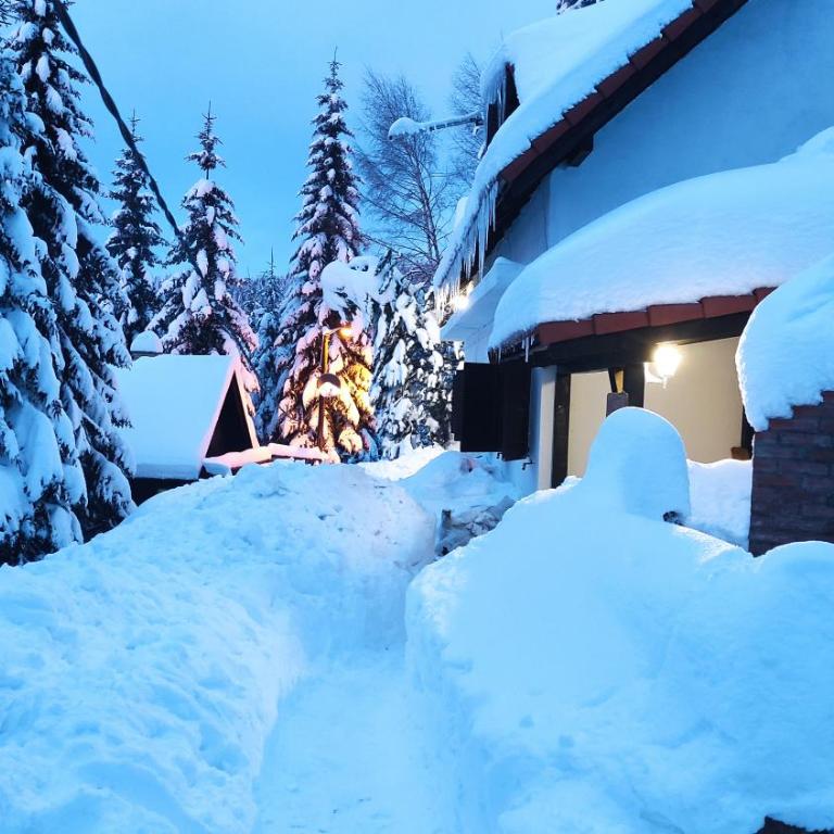 Uki & Sofi mountain house - Duplex Suite - 1