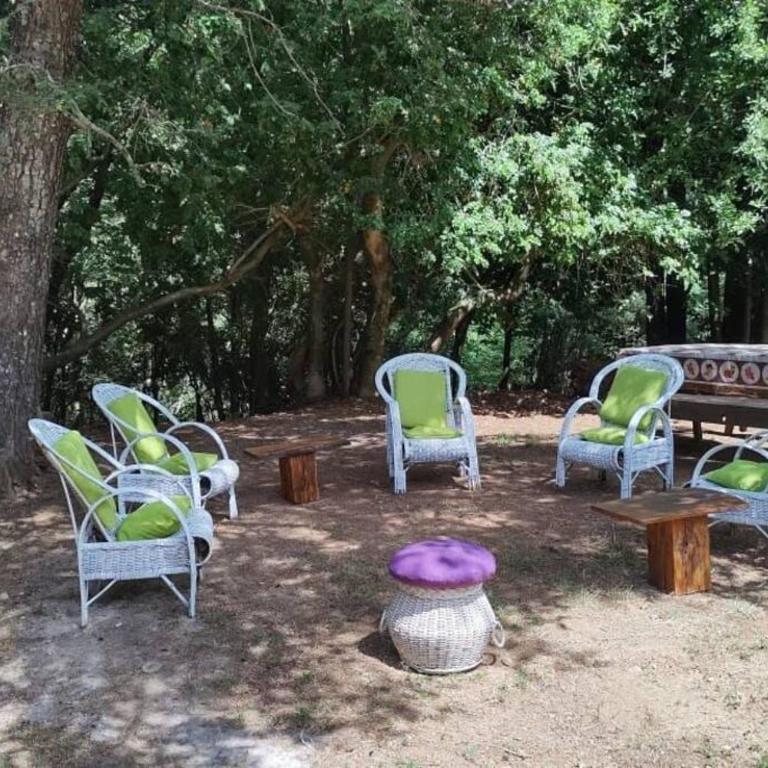 Cabaña Raíces del Quilme - Four-Bedroom House - 26