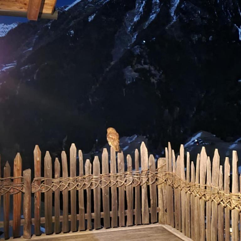 Tratterhof Apartments - Appartamento con Vista Montagna - 12