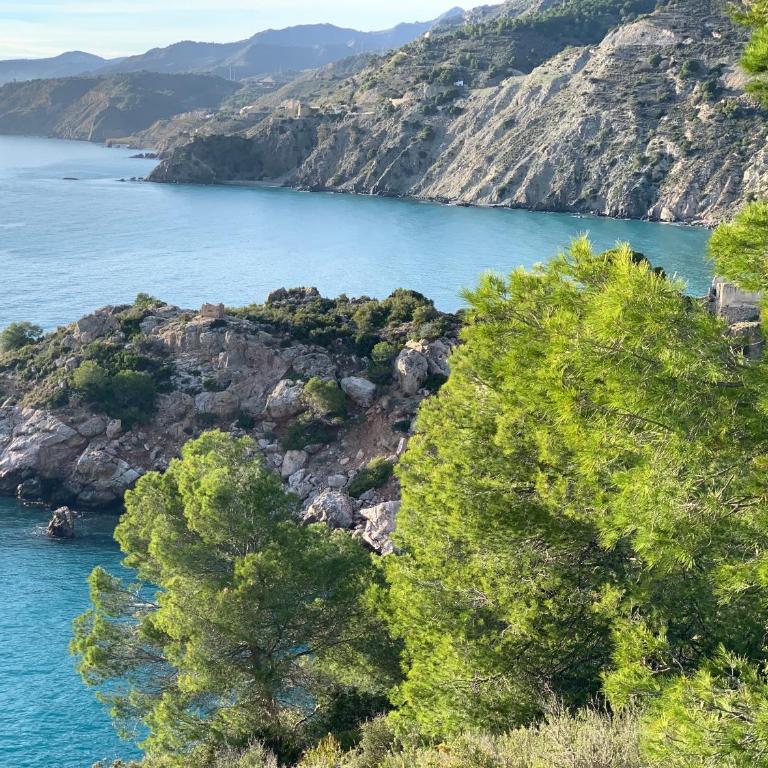 Villa Andrea - Villa Deluxe - 29