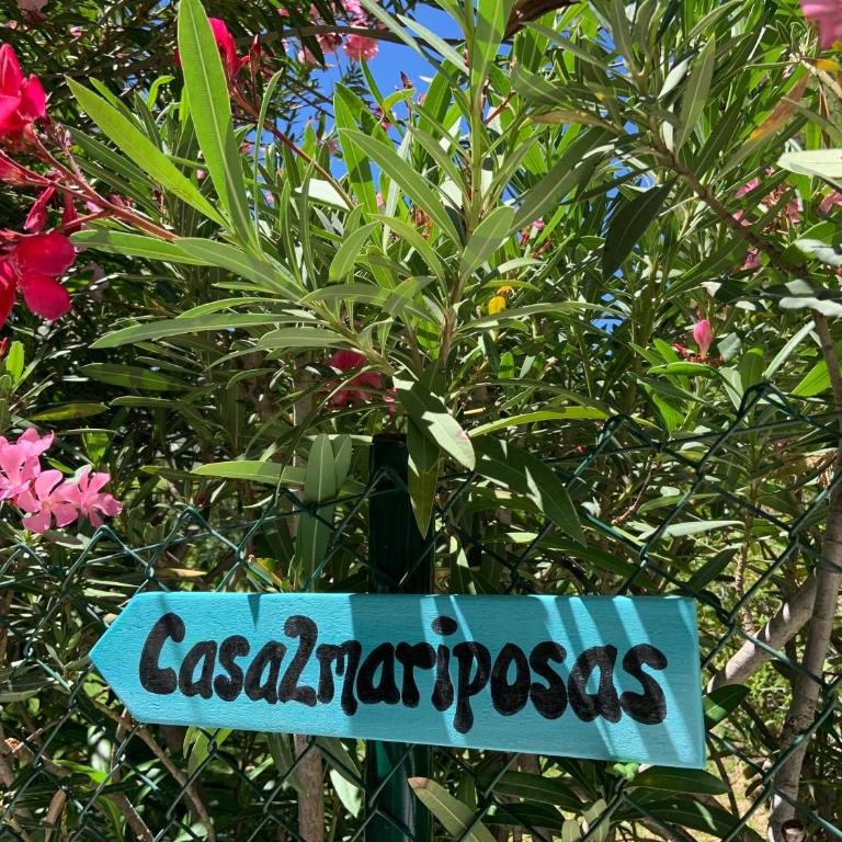 Casa 2Mariposas - Casa - 3