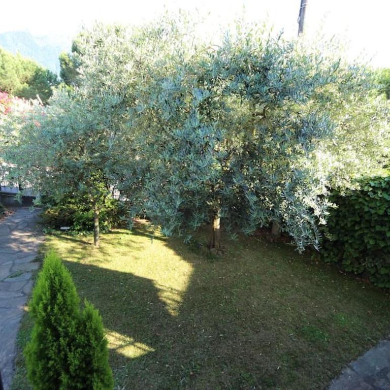 Villa Lidia, Como Lake - Villa - 16
