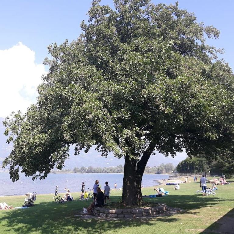 Villa Lidia, Como Lake - Villa - 39