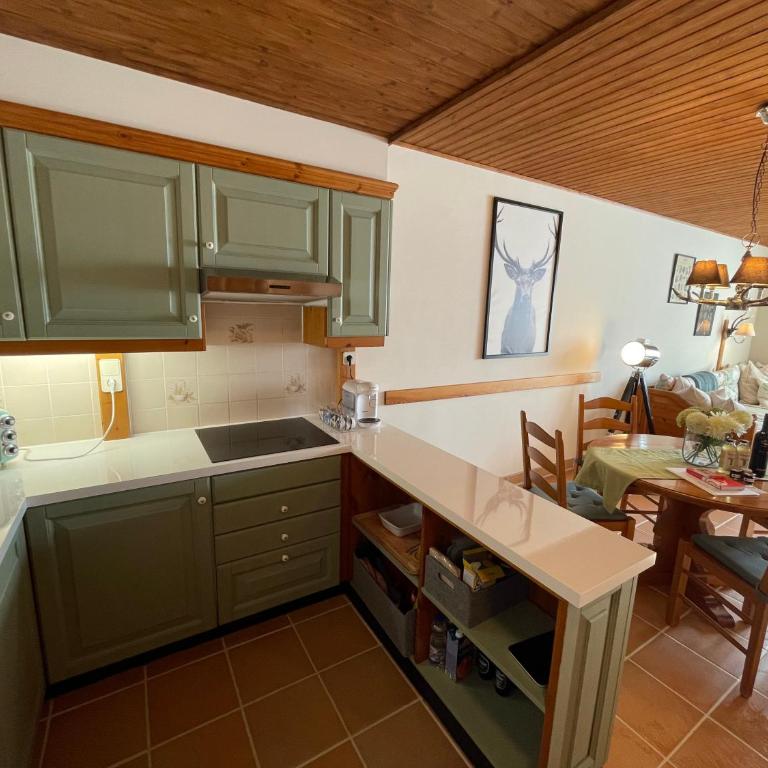 Hundefreundliche Bergwohnung neben der Skipiste - Mittelstation Skigebiet Gerlitzen - Apartment mit 1 Schlafzimmer - 11