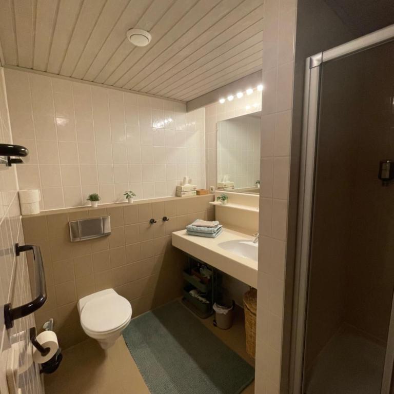 Hundefreundliche Bergwohnung neben der Skipiste - Mittelstation Skigebiet Gerlitzen - Apartment mit 1 Schlafzimmer - 17