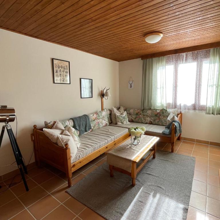 Hundefreundliche Bergwohnung neben der Skipiste - Mittelstation Skigebiet Gerlitzen - Apartment mit 1 Schlafzimmer - 2