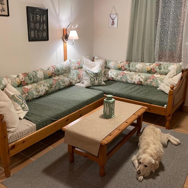 Hundefreundliche Bergwohnung neben der Skipiste - Mittelstation Skigebiet Gerlitzen - Apartment mit 1 Schlafzimmer - 1