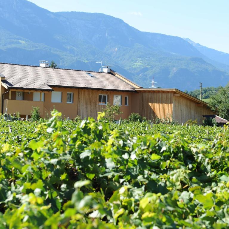 Urbanhof Prantenberger - Appartamento con 1 Camera da Letto (2 Adulti) - 15