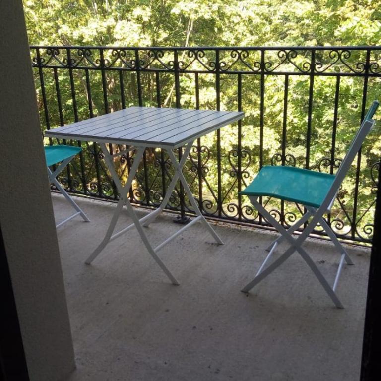 T2 Calme assuré face à la pique les Ramel - Appartement 1 Chambre - 5