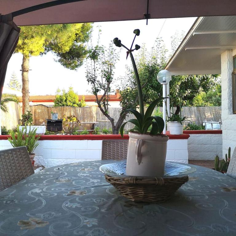 Villa Rhaele - Villa with Private Pool - 34