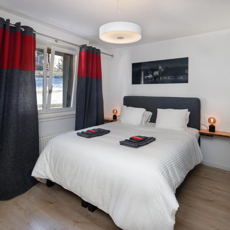 Magnifique appartement proche du centre et du ski - Appartement 1 Chambre - 2