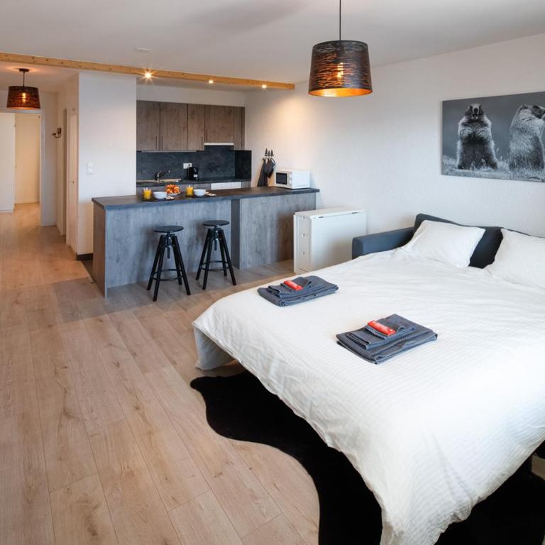 Magnifique appartement proche du centre et du ski - Appartement 1 Chambre - 4