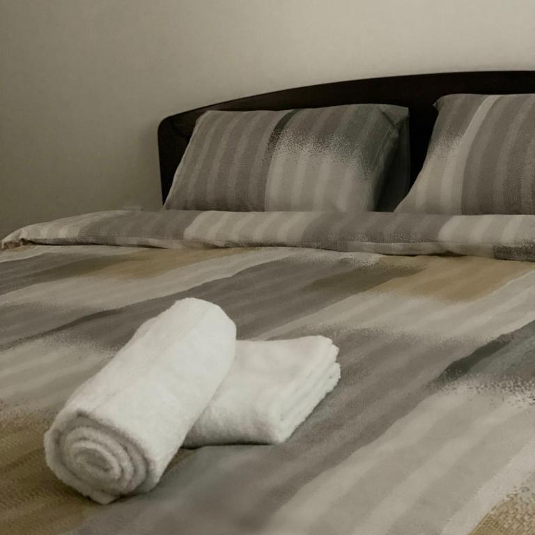 Apartmani Milić Banja Koviljača - Apartman sa 1 Spavaćom Sobom - 25