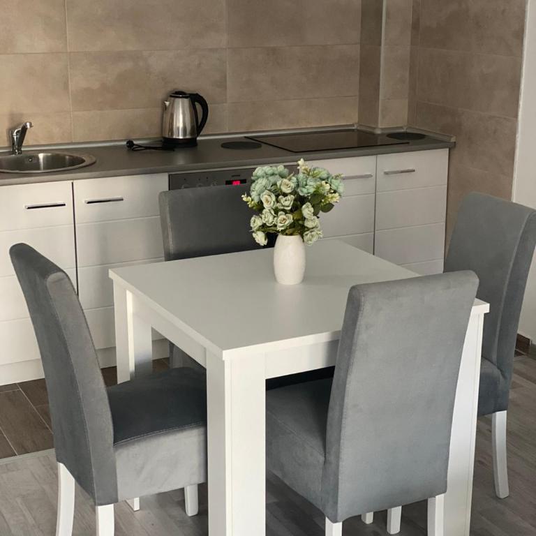 Apartmani Milić Banja Koviljača - Apartman sa 1 Spavaćom Sobom - 6