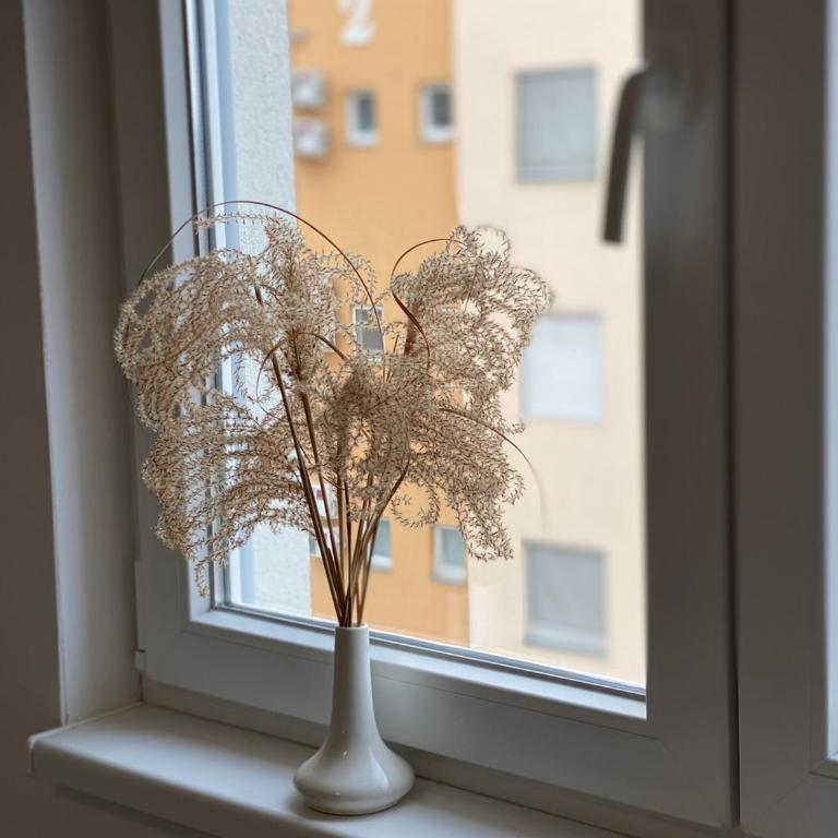 Apartmani Milić Banja Koviljača - Apartman sa 1 Spavaćom Sobom - 12
