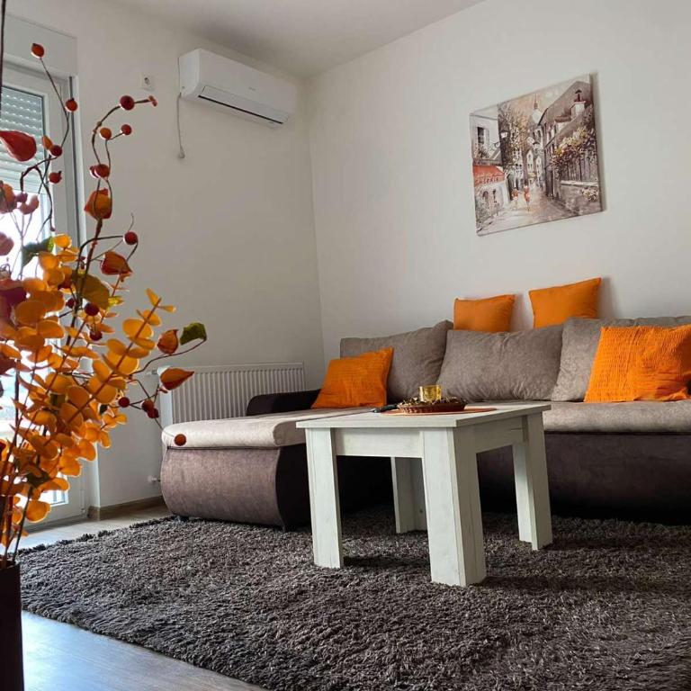 Apartmani Milić Banja Koviljača - Apartman sa 1 Spavaćom Sobom - 16