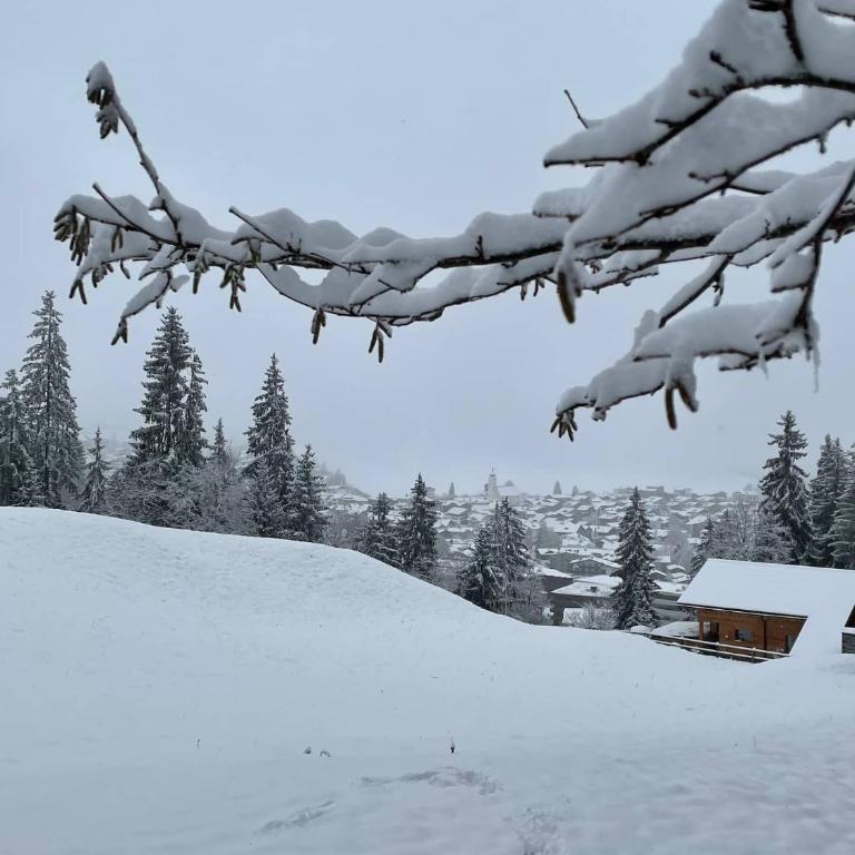 Ferienwohnung 3,5 Zimmer direkt an Ski- und Bikepiste - Apartment mit 2 Schlafzimmern - 19