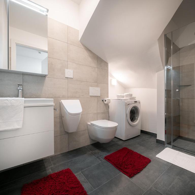 Das Conrad by Schladming-Appartements - Studio Conrad - 5