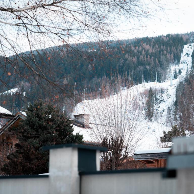 Das Conrad by Schladming-Appartements - Apartment Conrad mit Garten und Sauna - 3