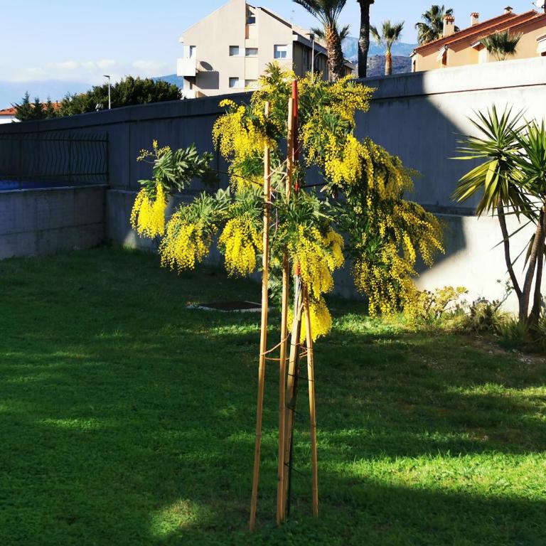 Casa Buena Vista - Appartamento con 3 Camere da Letto - 26