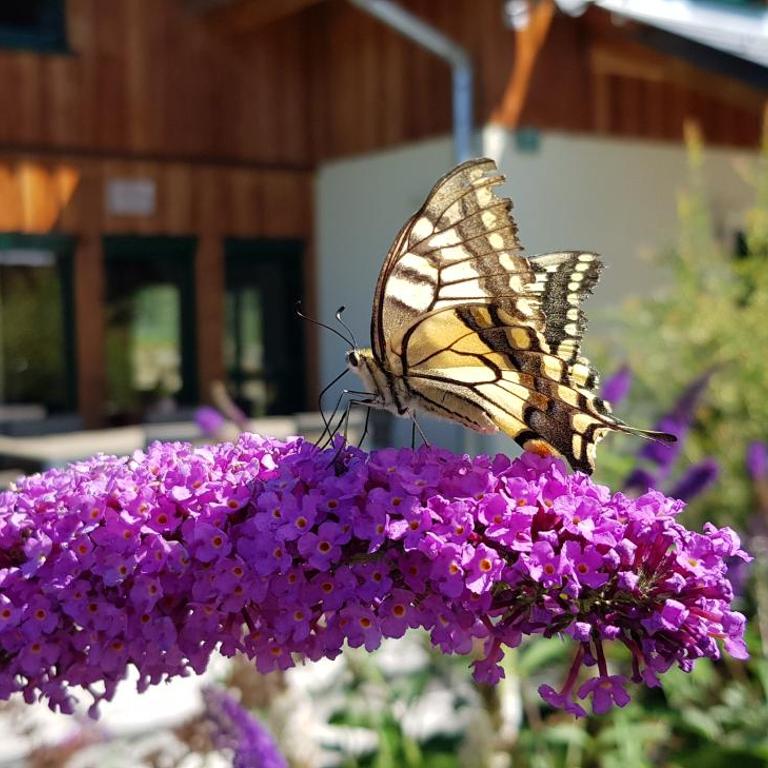 Wellness Chalet Bell a Mur - Chalet - 21