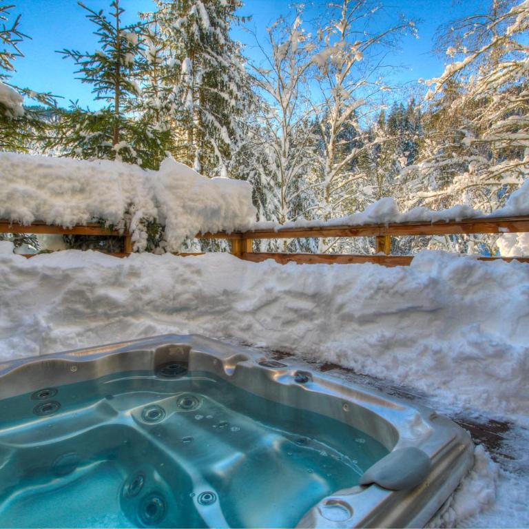 Chalet La Mésange Cendrée - Apartamento - 13