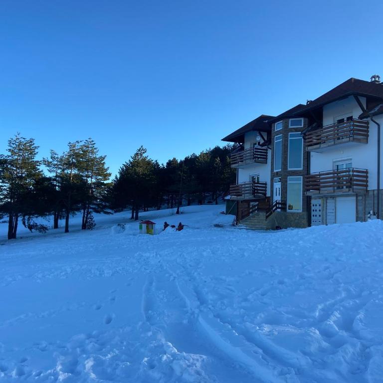 Viline kose - Two-Bedroom Apartment - 22