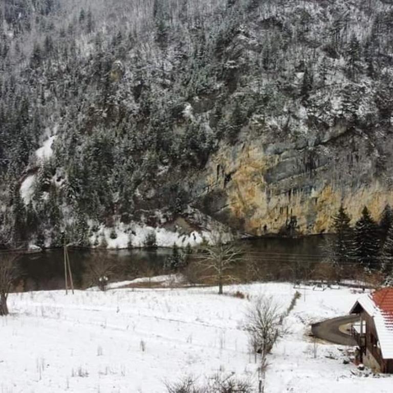 Ljubičin Konak - Vila - 20