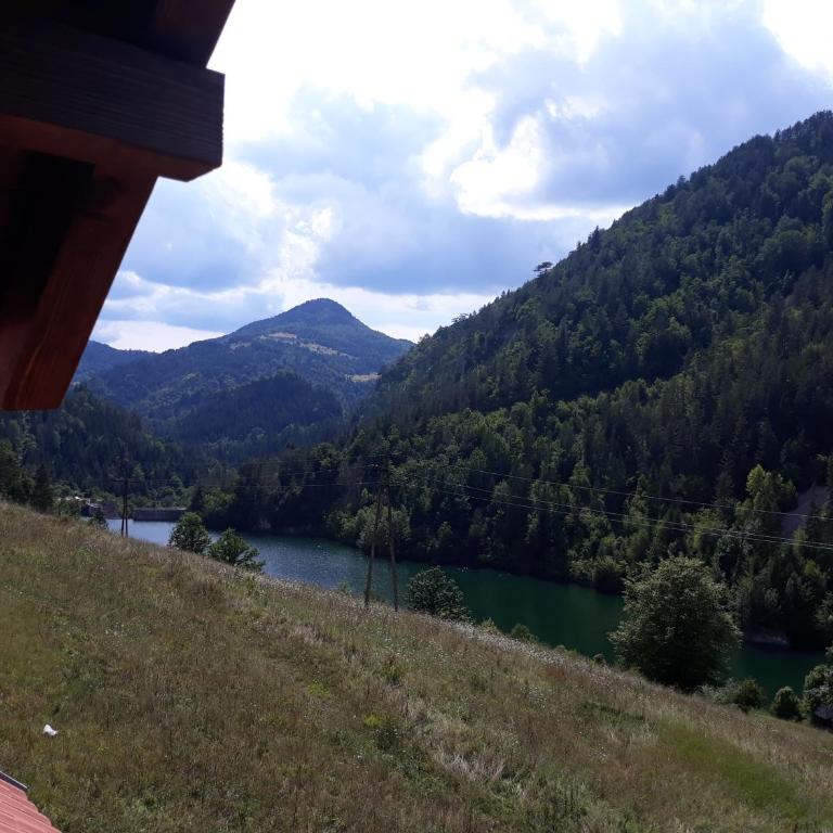 Ljubičin Konak - Vila - 49