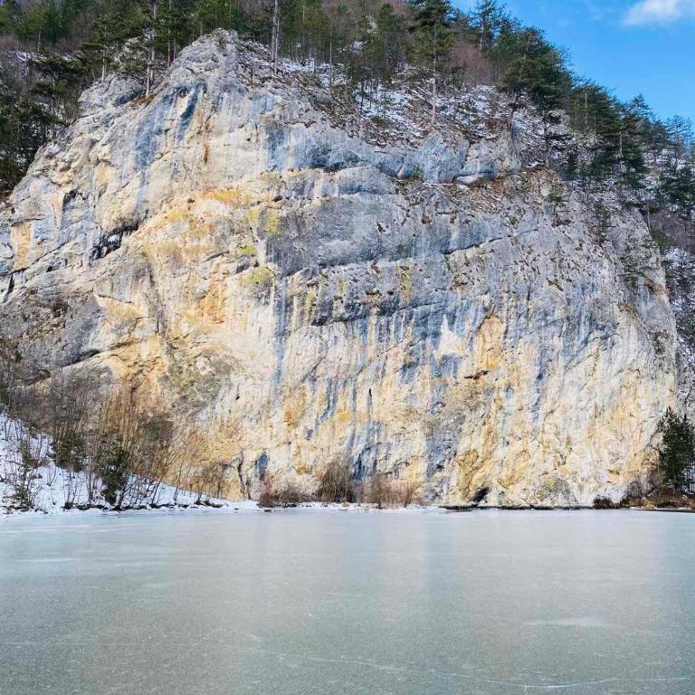 Ljubičin Konak - Vila - 11