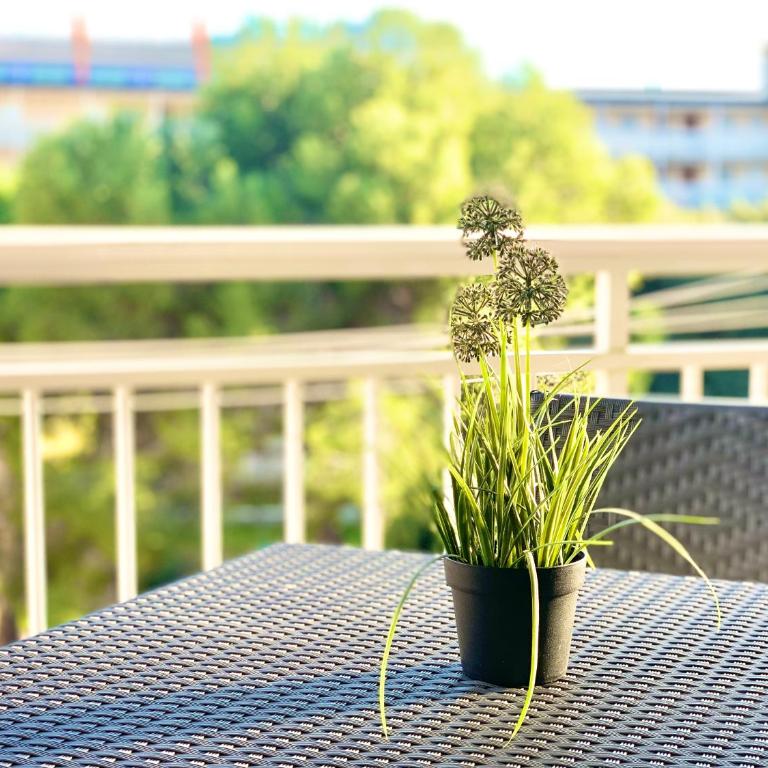 Apartamentos Zaragoza - Apartamento con vistas al jardín - 9