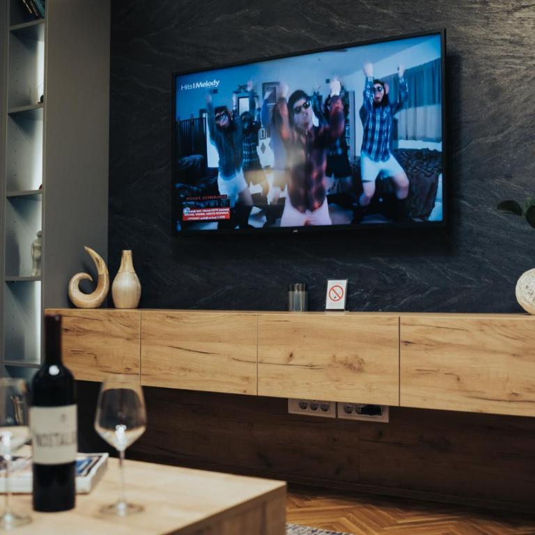 My Space apartment - Apartman sa 1 Spavaćom Sobom - 14