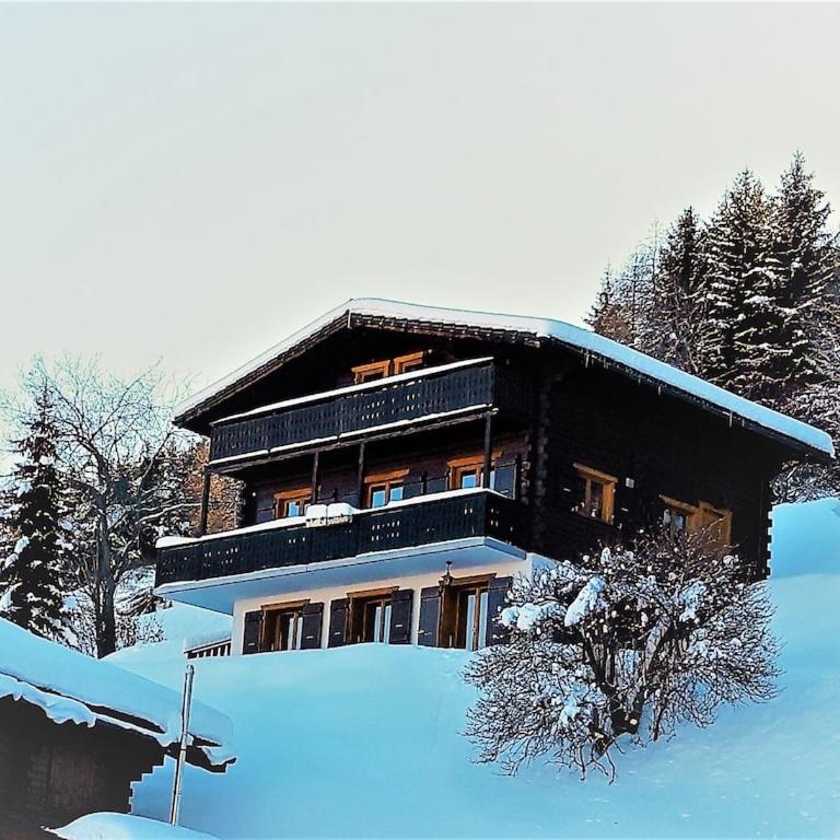 LA TZOUMAZ - VERBIER 4 Vallées - Grand Chalet 5 chambres, Ski IN/OUT, Sauna - Chalet - 5