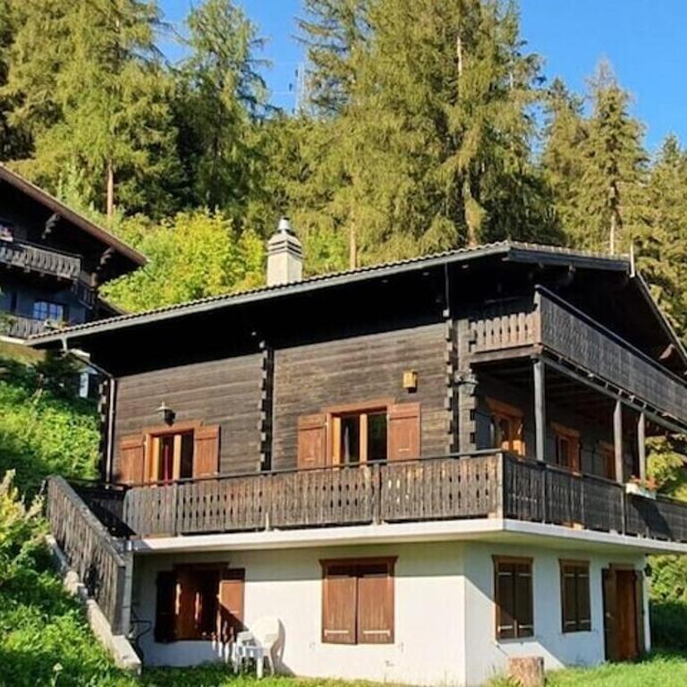 LA TZOUMAZ - VERBIER 4 Vallées - Grand Chalet 5 chambres, Ski IN/OUT, Sauna - Chalet - 40