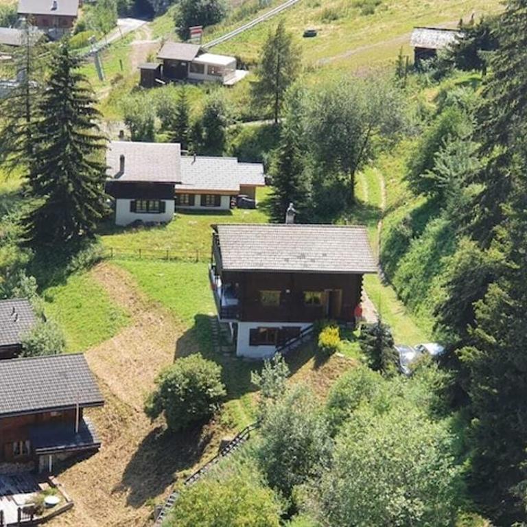 LA TZOUMAZ - VERBIER 4 Vallées - Grand Chalet 5 chambres, Ski IN/OUT, Sauna - Chalet - 39
