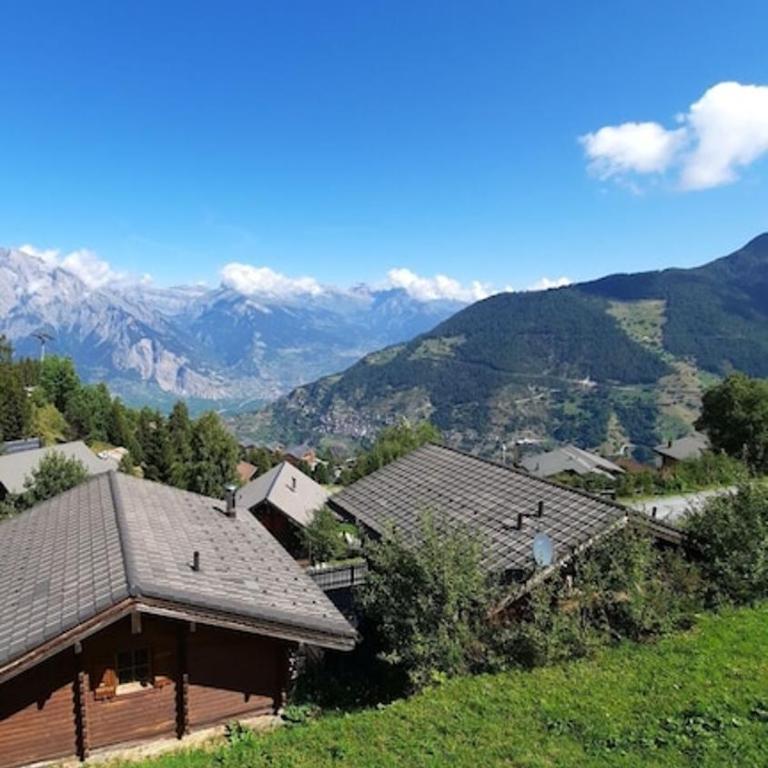 LA TZOUMAZ - VERBIER 4 Vallées - Grand Chalet 5 chambres, Ski IN/OUT, Sauna - Chalet - 38