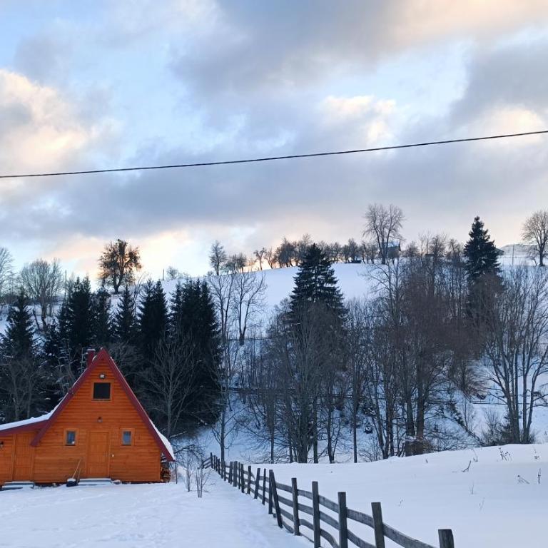 Brvnara Jahorinka - One-Bedroom House - 14