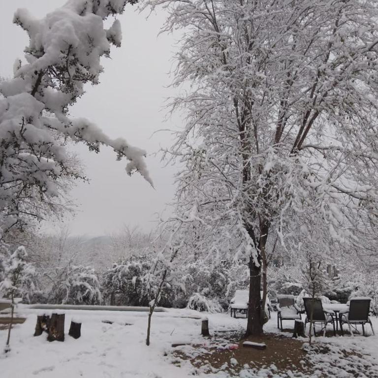Las Liebres - Apartamento de 1 dormitorio - 26
