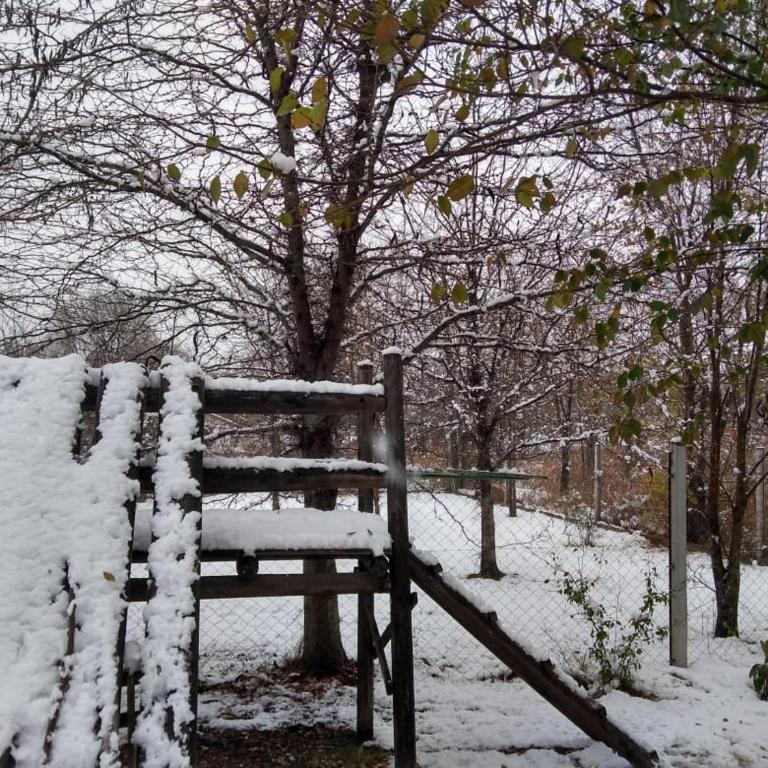 Las Liebres - Apartamento de 1 dormitorio - 27