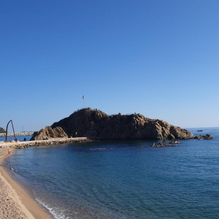 Apartamento "SA VIEIRA" BLANES COSTA BRAVA - Apartamento - 2 niveles - 19