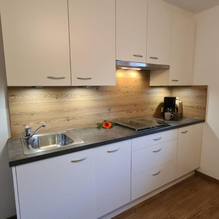 Planitzhof - Appartamento con 1 Camera da Letto - 2