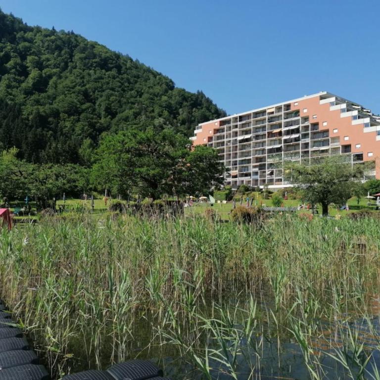 LB2 Seeappartement Haus Landskron mit direktem Seezugang am Ossiachersee - Apartment mit Terrasse - 15
